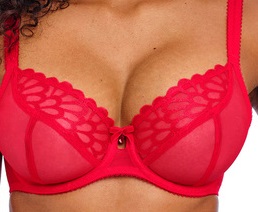 Freya Loveland Plunge Bra Chilli Red