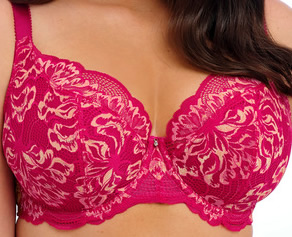 Fantasie Emmaline Padded Plunge Bra Cerise