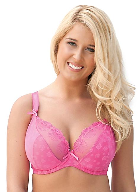 Curvy Kate Daisie Plunge Bra Cerise